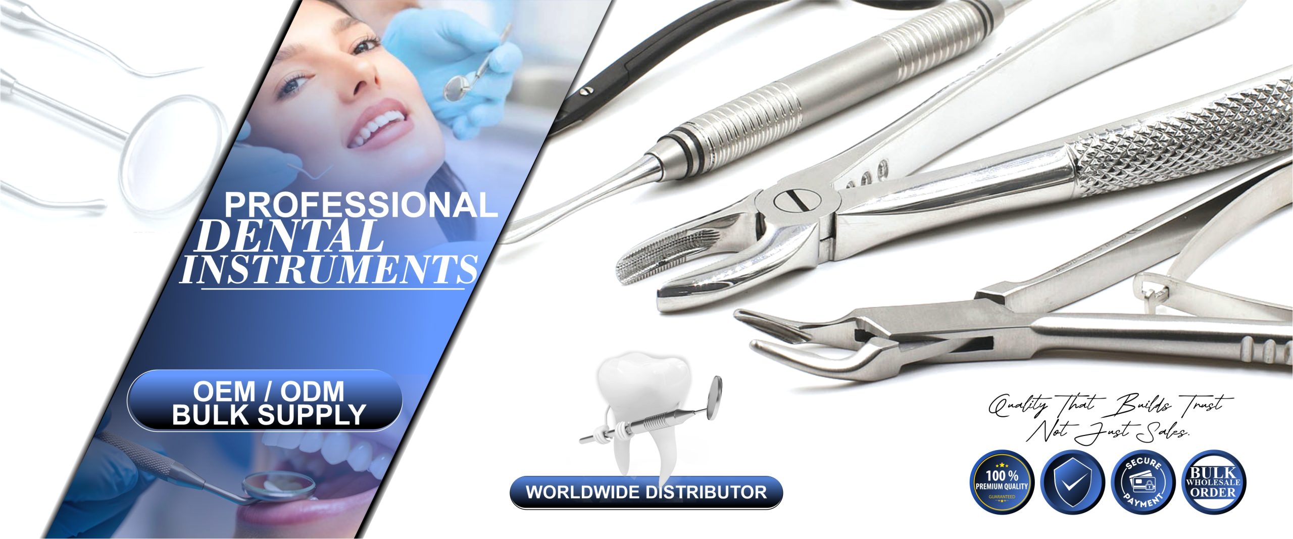 DENTAL INSTRUMENTS